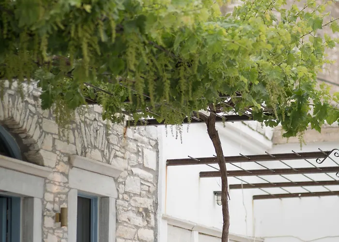 Traditional Pirethron Apérathos