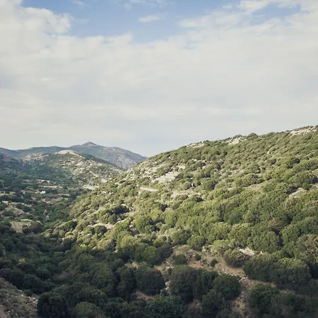 Traditional Pirethron Σπίτι διακοπών Απέραθος