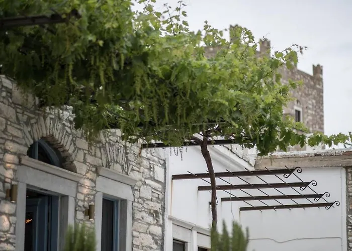 Traditional Pirethron Holiday home Aperathos