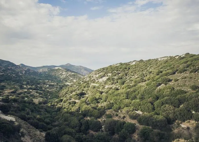 Дом отдыха Traditional Pirethron Aperathos