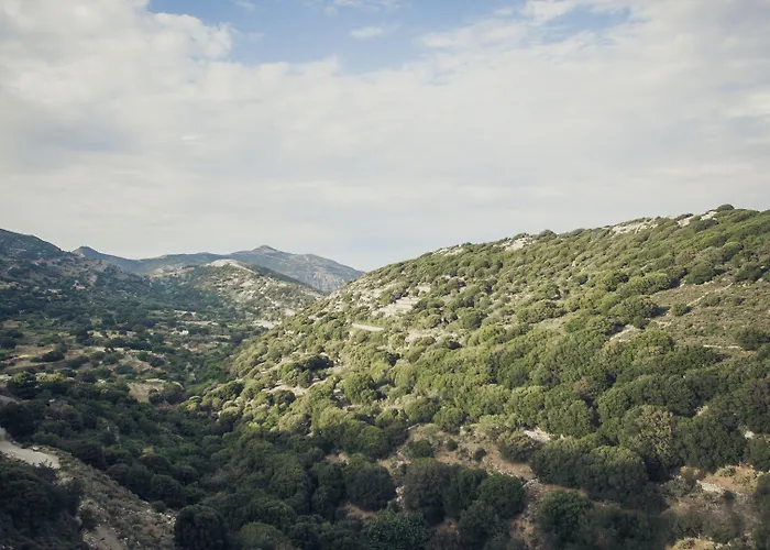 Traditional Pirethron Holiday home Aperathos